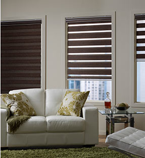 zebra blinds in seepz