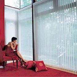 shear verticle blinds in chennai